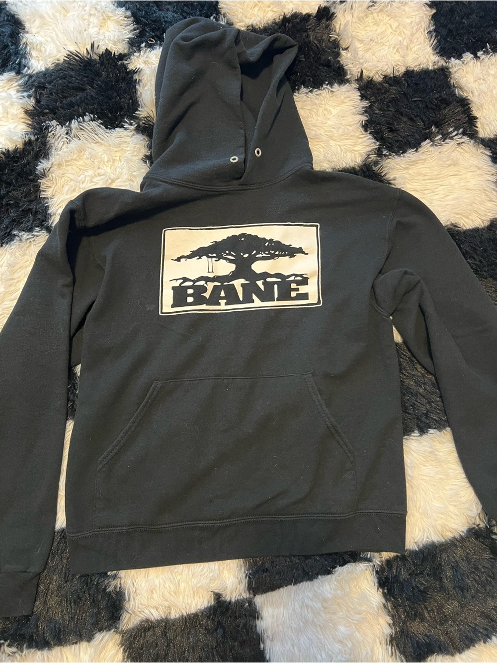 Vintage BANE Black Graphic Band Hoodie with Tree Logo